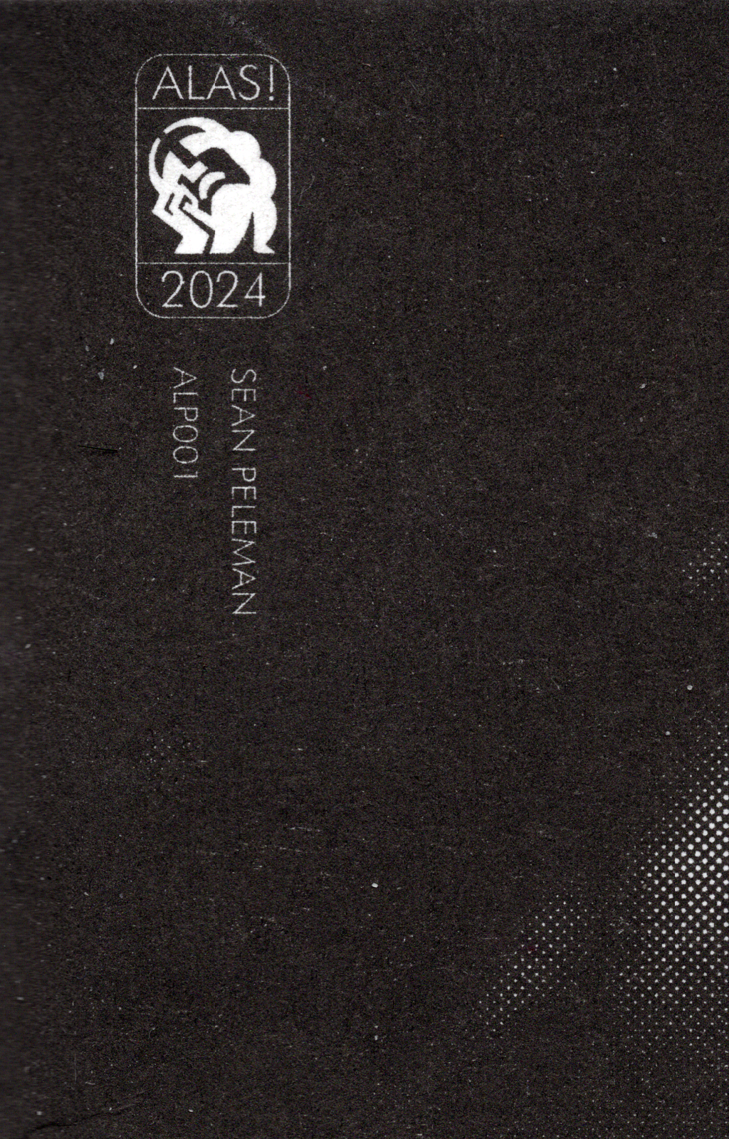 Lost in Translation - Sean Peleman - 2024